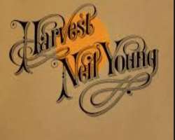 Her relation with rocker  Neil Young was an inspiration for Young's album 